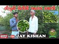 bagayat kheti limbu/લીંબુની બાગાયતી ખેતી/Organic kheti/સજીવ ખેતી/jay kishan/Lemon cultivation/नींबू