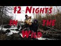 12 Nights in the Wilderness With a Puppy