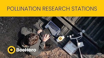 BeeHero 2024 Pollination Research Stations