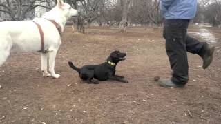 Alex Patterdale Walking 3