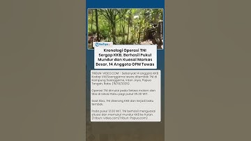 Kronologi TNI Sergap Markas Besar KKB di Intan Jaya, 14 Anggota OPM Tewas dan Barang Bukti Diamankan