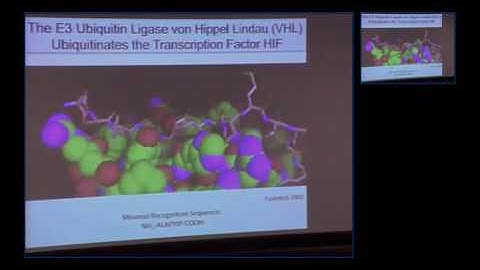 Making the Problem Go Away: Induced Protein Degradation as a Novel Therapeutic Strategy
