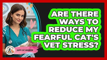 Are There Ways To Reduce My Fearful Cat