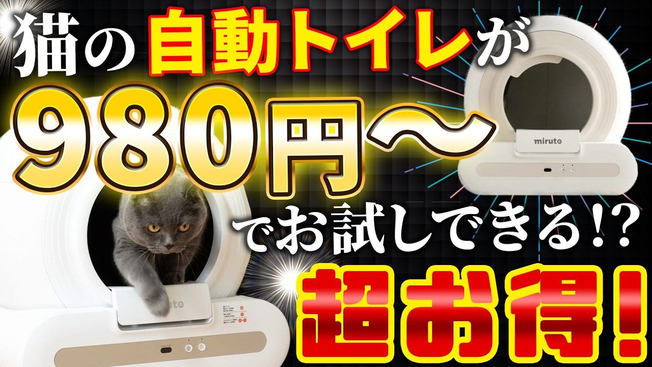 Industry First!? Automatic Litter Box Rentals are Here!] Honestly