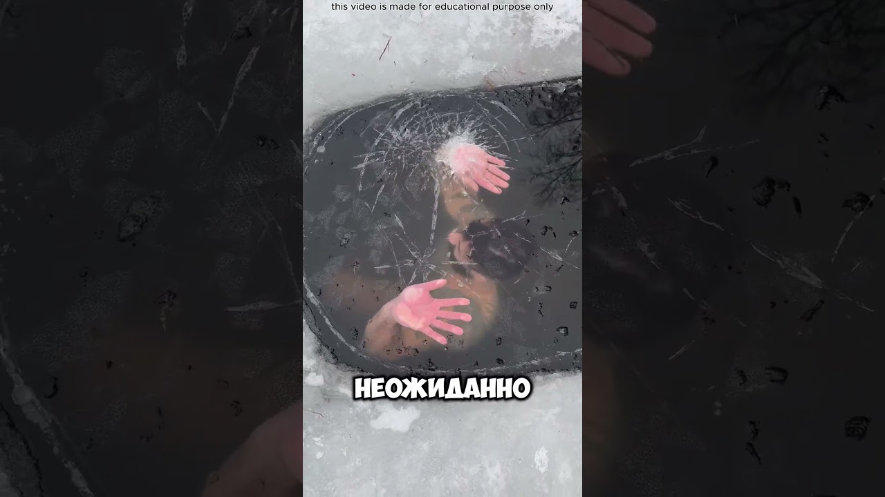 Почему никогда не следует плавать подо льдом... (@mikhailsereda_)