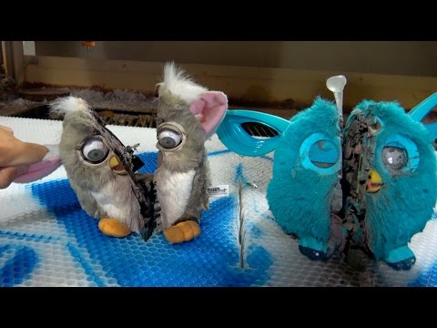 Video: Cara Melukis Furby