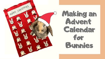 How to Make an Advent Calendar for Bunnies | Christmas DIY for Pets