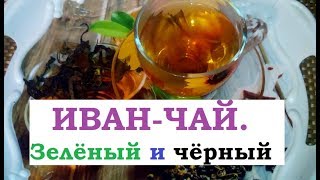 ИВАН-ЧАЙ. ЗЕЛЁНЫЙ И ЧЁРНЫЙ ИВАН-ЧАЙ. ЗЕЛЁНЫЙ И ЧЁРНЫЙ