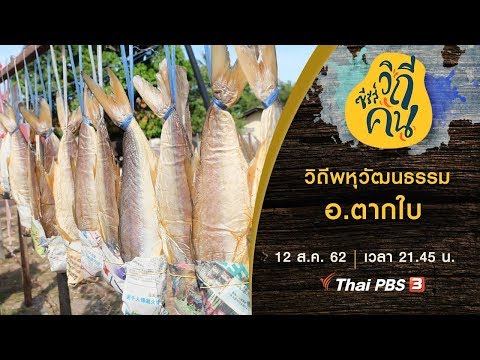 วิถีพหุวัฒนธรรม อ.ตากใบ : ซีรีส์วิถีคน (12 ส.ค. 62)