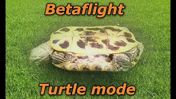 🚁🔄Режим черепахи Betaflight