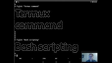 Termux, more Linux command and first bash scripting