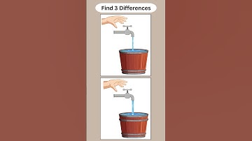 Spot The Difference: Do You Have an Eagle Eye?Test Your Observation Skills! [ Find The Difference ]