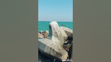 البحر آية من آيات الله