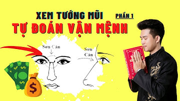 Tự Xem Tướng Mũi 3 Giây Biết Ngay Giàu Nghèo Sướng Khổ | Tướng Mũi Quý Hơn Vàng  (Phần 1)