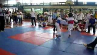 Taekwondo Fight Jeline 0001 screenshot 2