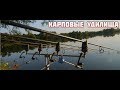 Fishing Planet.  Карповые удилища. Гайд. Обзор.