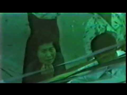 西之表港送迎5色テープ・昭和57年8月・種子島旅行1982/8/18