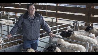 Barber Pole Worm Interview with Dr Scott Bowdridge of West Virginia University