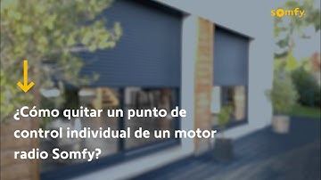 ¿Cómo quitar un punto de control individual de un motor radio Somfy?