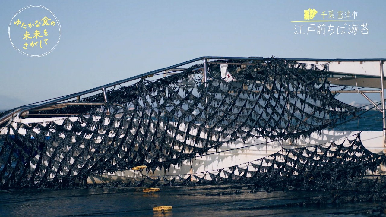 千葉 富津市「江戸前ちば海苔」① 風味ゆたかな磯の香り／『ゆたかな食の未来をさがして』【TBS】