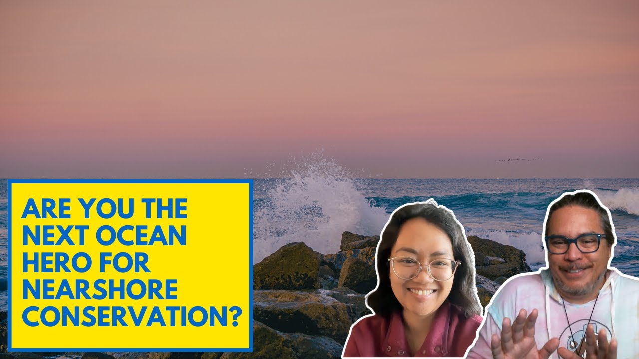 Why Nearshore Ocean Conservation Is the Best Investment You’ve Never Heard Of