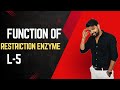 Discovery of Restriction Enzyme | Biotechnology🔥🔥