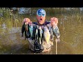 How to catch crappie in shallow water texas crappie spawn 2023