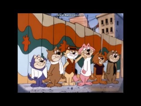 Ass kurve analyse Top Cat and the Beverly Hills Cats We're Not Billionaires with Lyrics On  Screen - YouTube