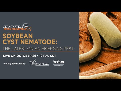 Video: Ceal Cysta Nematode Info: Lär dig om Cereal Cysta Nematode Control and Prevention