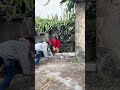 Gorilla 🦍 attack on boys #funny #comedy
