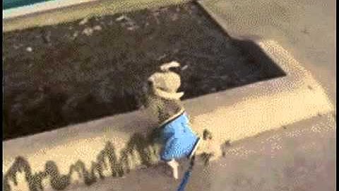 RSA Animate - Collaborative Consumption