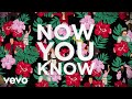 "Weird Al" Yankovic - Now You Know (Official 4K Lyric Video)