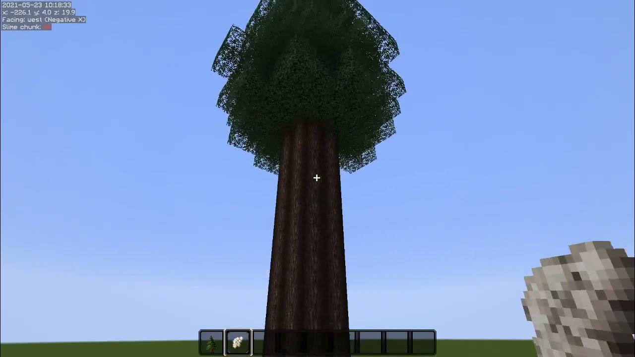 Tall Trees Minecraft Survival YouTube