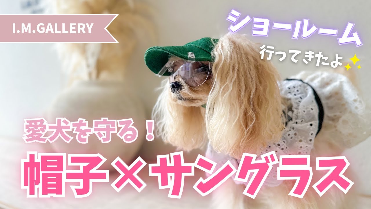 愛犬用サングラス🕶】おでかけわんこ必見！愛犬を守る！わんこ用帽子と