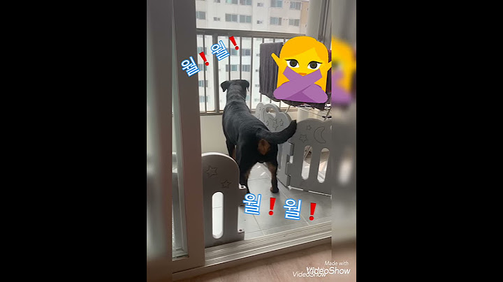 자취집에서 쫒겨나는😱