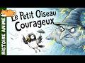 Le Petit Oiseaux Courageux🌙| Histoire pour s'endormir | Conte pour enfant sur la Solidarité