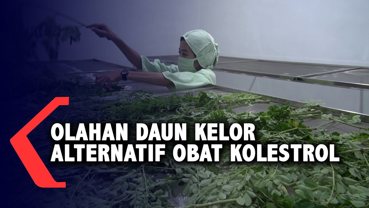 Teh Daun Kelor 