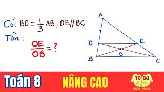 ∆ABC có D trên AB và BD=1\/3AB. Kẻ DE song song với BC (E∈AC). O là giao điểm của BE và CD. Tìm OE\/OB