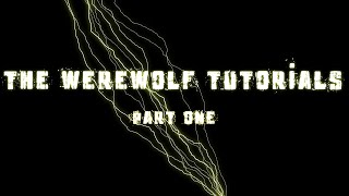 The Werewolf Tutorials (Minecraft Witchery Mod) Part 1