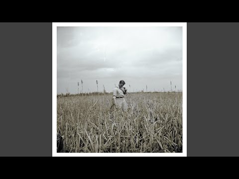 Jack Rhodes James - Forest Fire