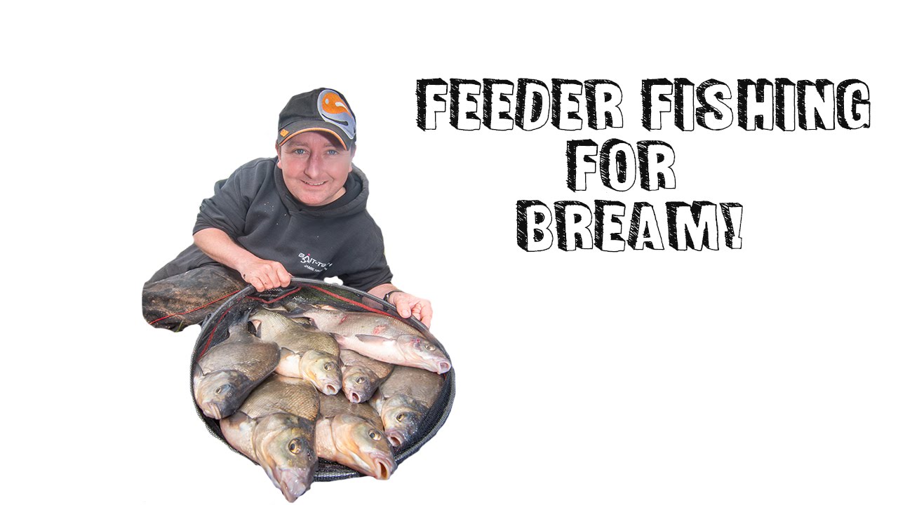 Feeder Fishing For Bream - YouTube