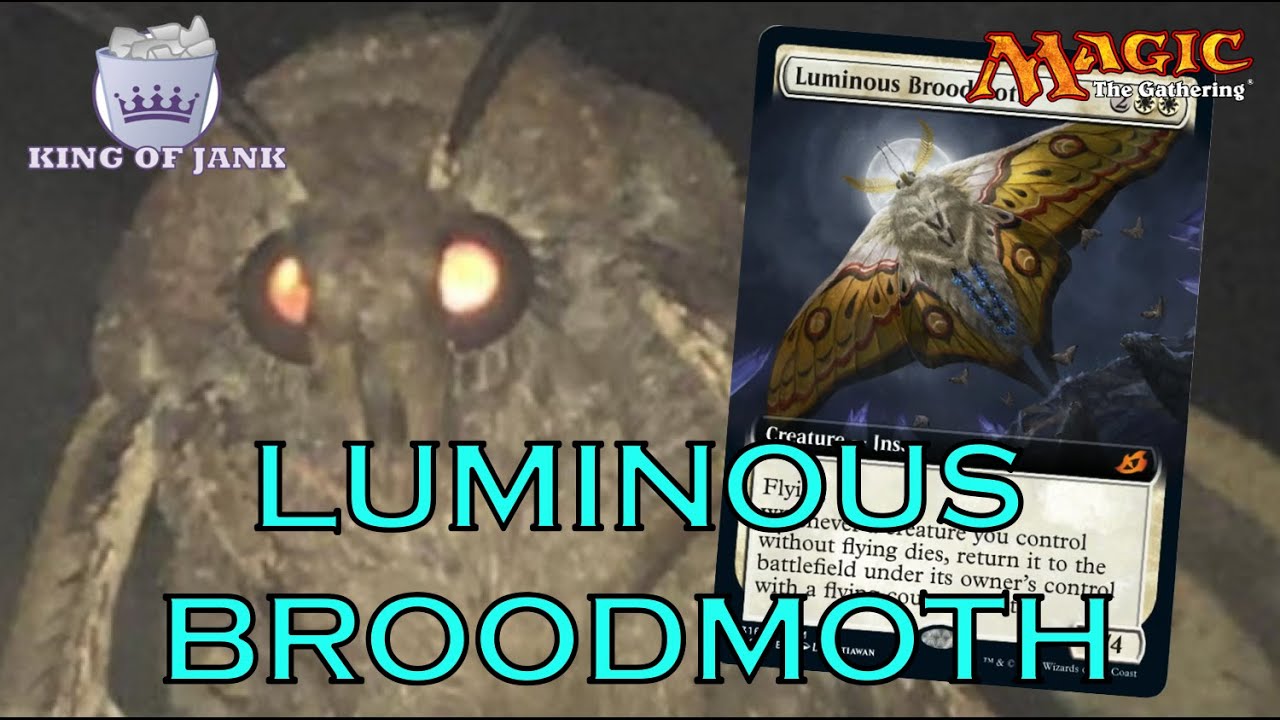 Combo Breakdown: Luminous Broodmoth | Persist Combo | Solemnity Combo