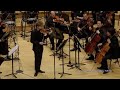 Florin iliescu plays caprice daprs letude en forme de valse