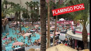 Flamingo Pool: Go Pool & Beach Club One of the Best Pools in Las Vegas