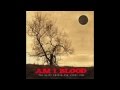 Am I Blood - The Truth Inside The Dying Sun (2005) Full Album