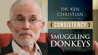 Self-Consistency: Smuggling Donkeys