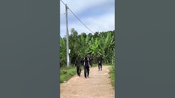 Phần 33 Cảnh Sát Cơ Động #cscđ #dexuat #cand