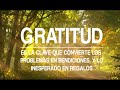 Caminos del Espíritu 060 - Acción de Gracias - Fray Alejandro Ferreirós OFMConv.