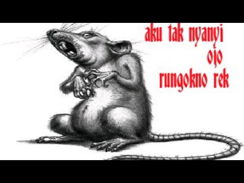 Video: Nyanyian Tikus Kosta Rika Dan Panama - Pandangan Alternatif