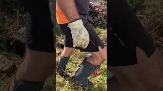 Reclaiming junk from mother nature&#39;s grasp! #asmr #satisfying #business #garden #diy #lawn #shorts